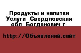 Продукты и напитки Услуги. Свердловская обл.,Богданович г.